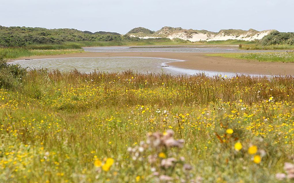 De Kwade Hoek. Foto RD, Anton Dommerholt