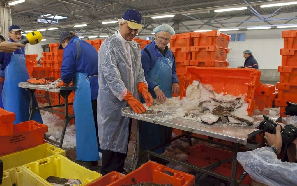 PVV-lijsttrekker Wilder bezocht in Urk de visafslag aan de Westwal. Foto André Dorst