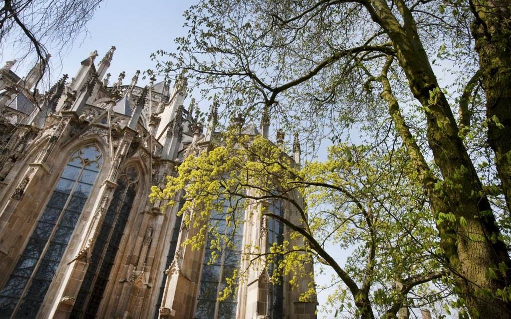 De Sint-Jan in Den Bosch. Foto RD, Henk Vissccher