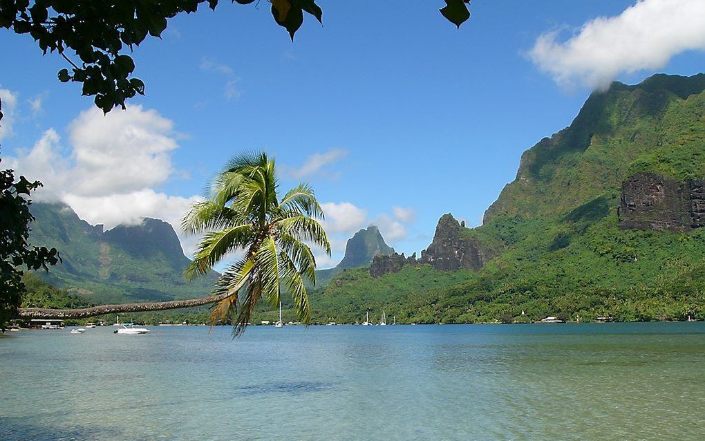 Polynesië. Foto Wikimedia