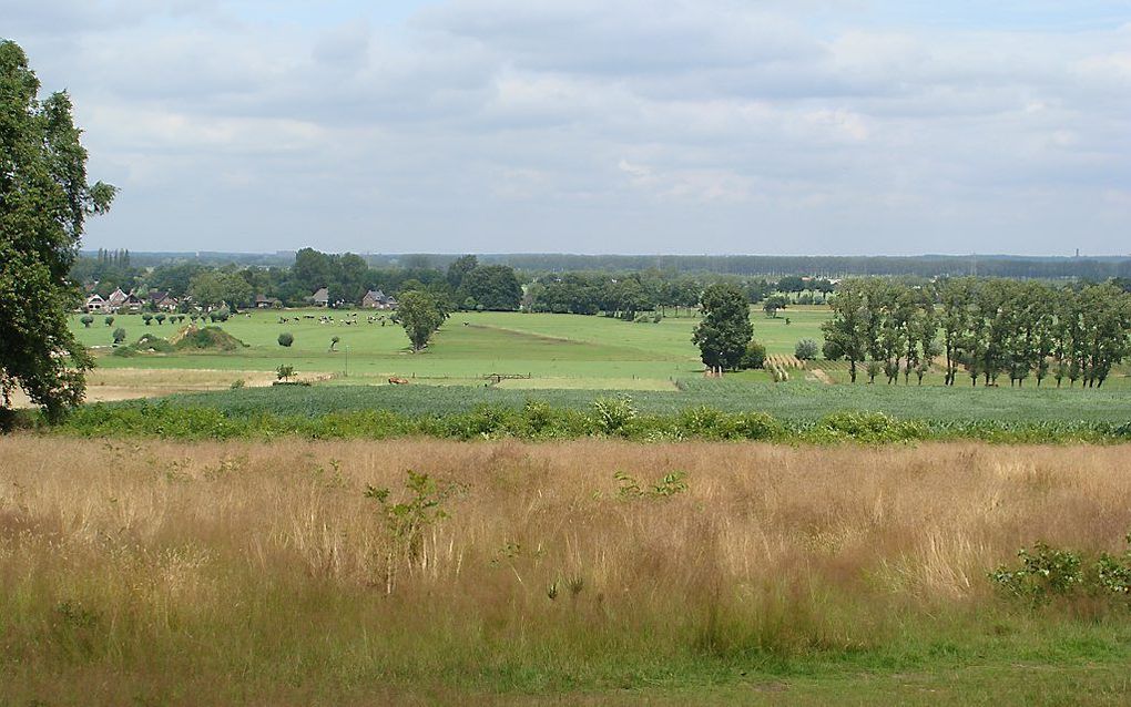 Uitzicht op Laarsenberg. Foto Agnes Lemstra-de Boer