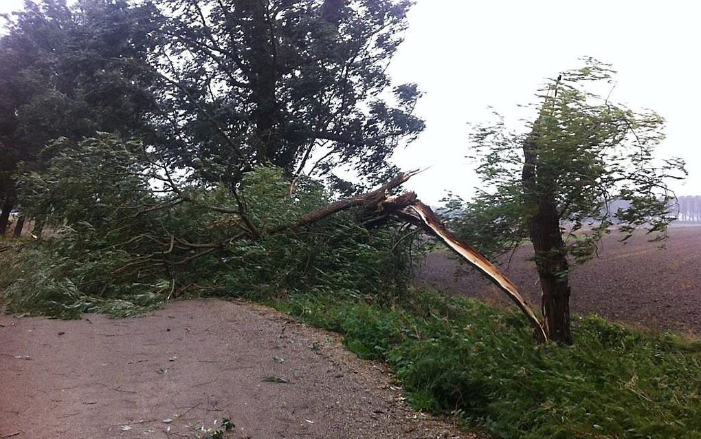 Stormschade in Dordrecht. Foto via twitter.com/mhoumes