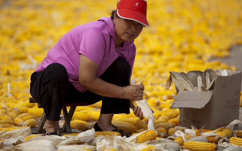 Steeds vaker worden inwoners van China het slachtoffer van gewelddadige, gedwongen huisuitzettingen. Dat is het gevolg van verdachte transacties tussen lokale autoriteiten en projectontwikkelaars, waarbij land van bewoners in bezit wordt genomen en verkoc