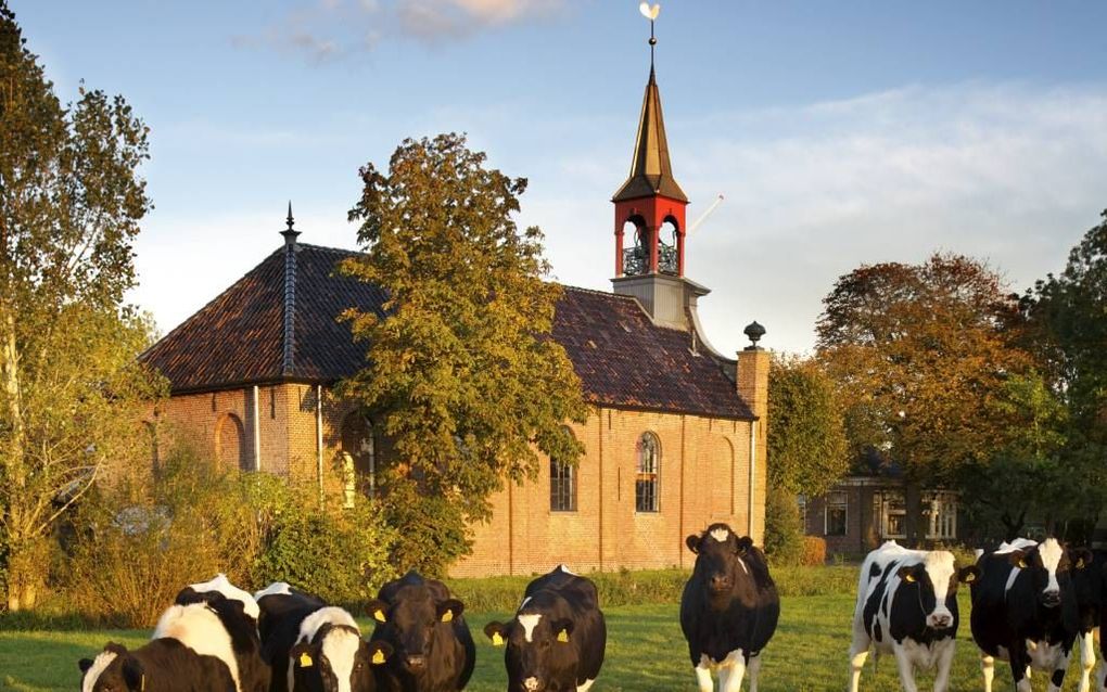 „In hervormde gemeenten in Groningen waar predikant en gemeente op één orthodoxe lijn zaten, ontstond saam­horigheid. Die gemeenten leven nog steeds.” Foto Sjaak Verboom