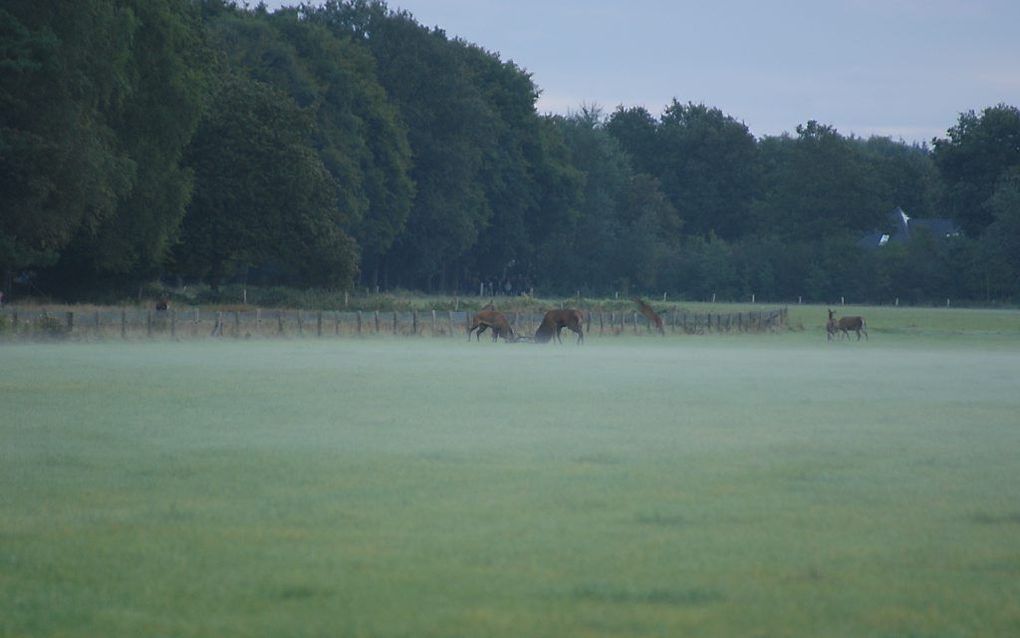 Gevecht in de vroege ochtend in Staverden. Foto Leonard van Leeuwen