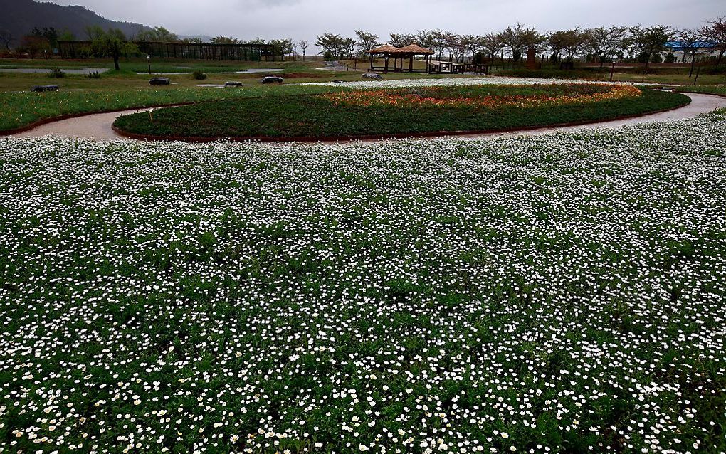 Ecopark in Suncheonman City in Noord Korea.   Foto EPA