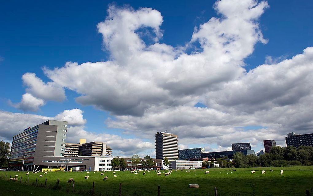 Universiteit Utrecht. Foto ANP