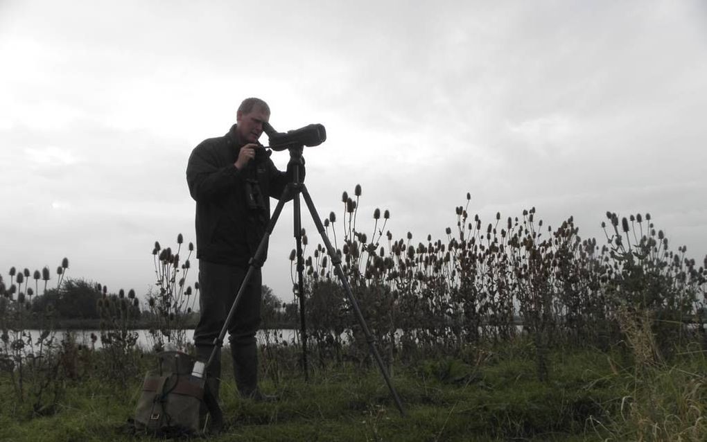 Speuren naar vogels in de polder Kort en Lang Ambacht in de Sliedrechtse Biesbosch. Foto RD