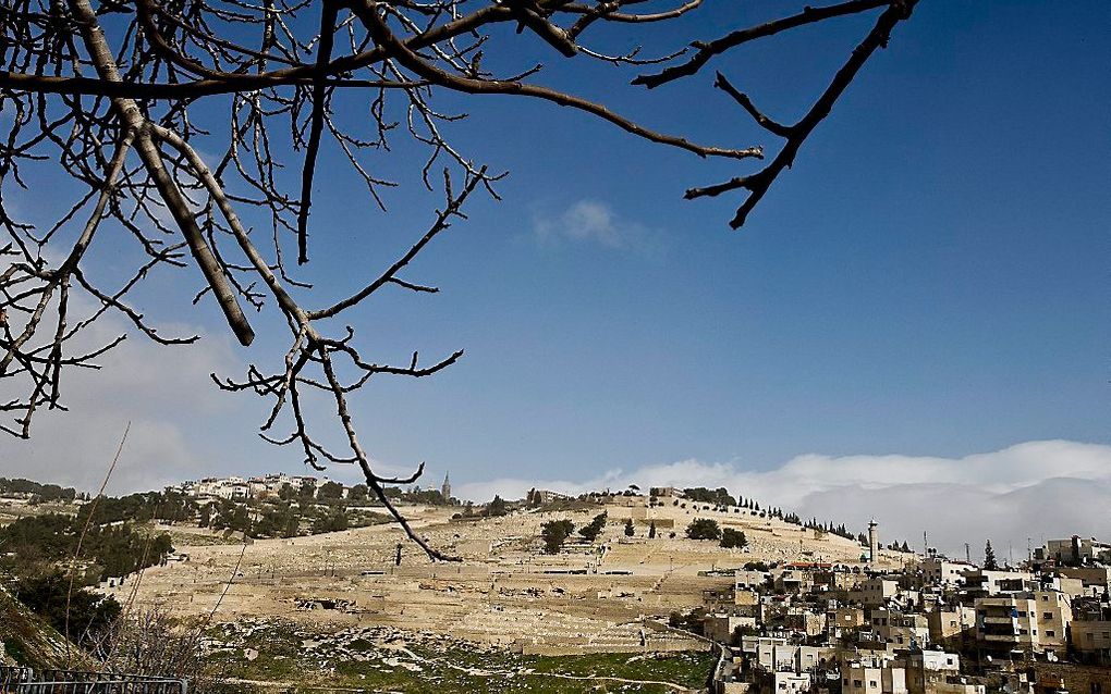 De Olijfberg in Jeruzalem. Foto RD, Henk Visscher