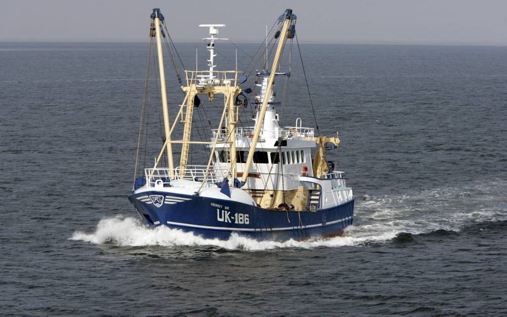 „Vissers prijzen zich gelukkig dat ze zoveel vis in de zee aantreffen.” Foto ANP