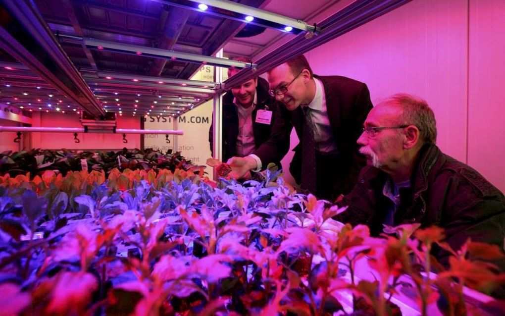 Plantjes groeien onder ledlampen sneller met minder energie. Foto: bezoekers van de Horti Fair bekijken de nieuwe techniek bij een van de toeleveranciers. Foto Horti Fair, Pieter Magielsen