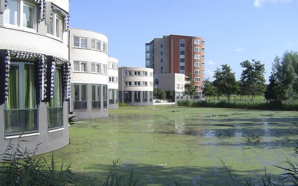 Eendenkroos verdubbelt zich tijdens warme zomerdagen elke drie dagen. Het bedekt vijvers als een tapijt en sluit het af van zuurstof en licht. Het water gaat op den duur stinken en de mensen gaan klagen. Foto Bom Aqua