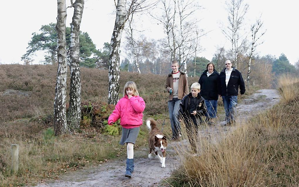 Wandelen bij de Treekerpunt. Foto RD, Anton Dommerholt