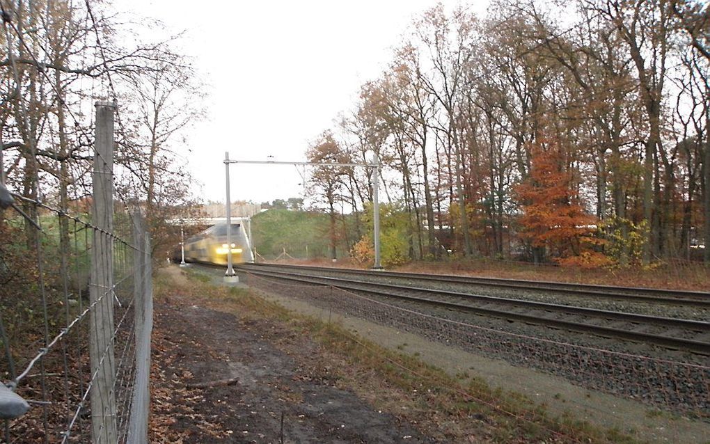 Trein raast onder ecoduct Hulshorst door. Foto RD