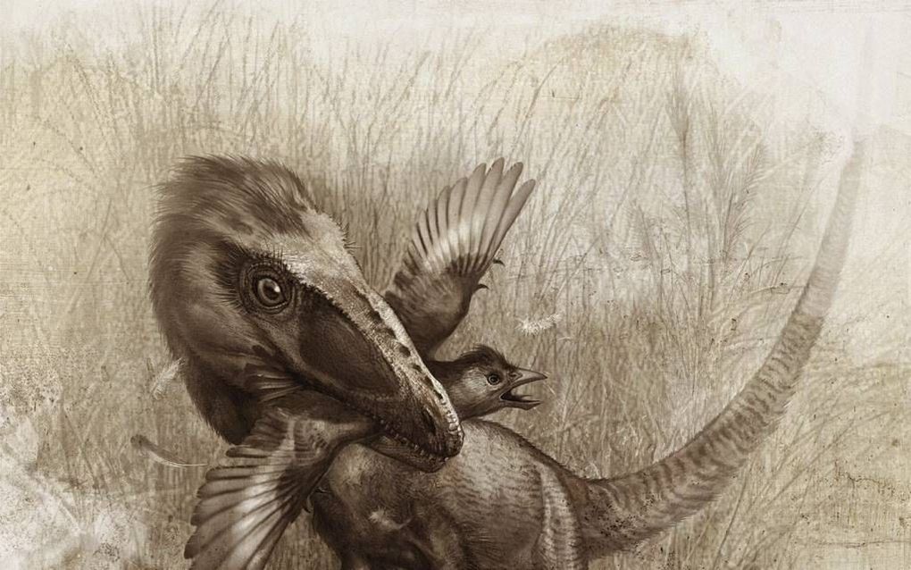 Een Sinocalliopteryx neemt een Confuciusornis te grazen. Foto Wikimedia, PLosOne, Cheung Chungtat