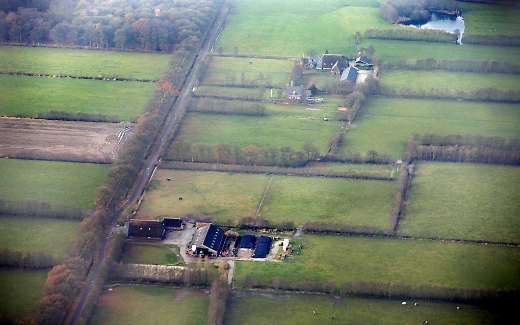 Luchtfoto van de vindplaats van Marianne Vaatstra, in de hoek waar het weiland een knik maakt. Foto ANP