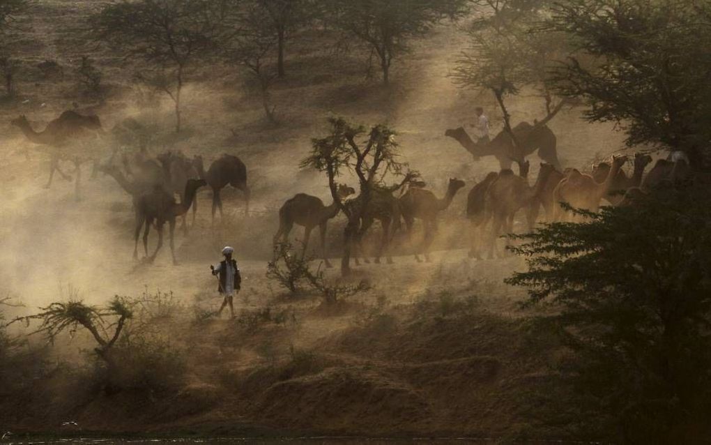 Foto AFP