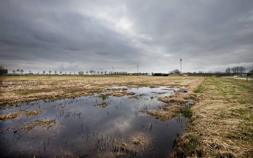 Winkeliers in de omgeving maken zich zorgen over de mogelijke en omstreden komst van het vierde merken-outletcentre in Nederland. Dat zou moeten komen op een braakliggend stuk grond op het grensgebied tussen Zoetermeer en Bleiswijk. Foto RD, Henk Visscher