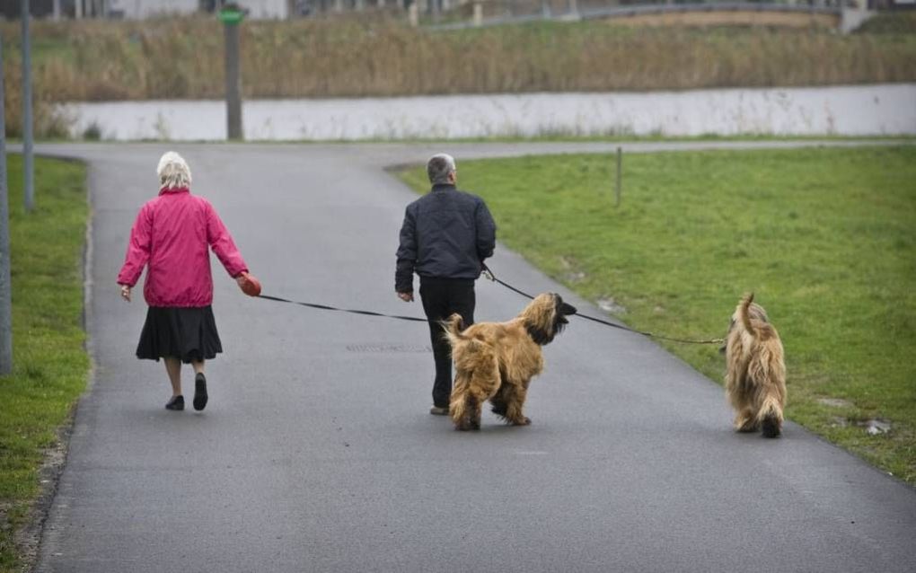 De politie in Elst (Gld.) schakelt hondenbezitters in om de criminaliteit in de wijk terug te dringen. Archieffoto RD, Henk Visscher