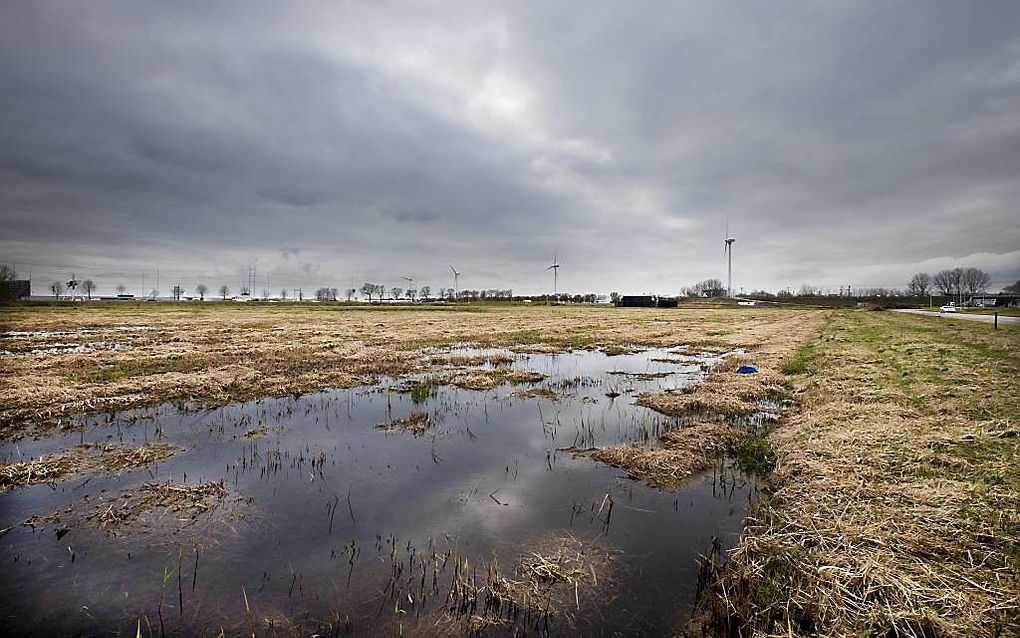 Het braakliggend stuk grond op het grensgebied tussen Zoetermeer en Bleiswijk. Foto RD, Henk Visscher