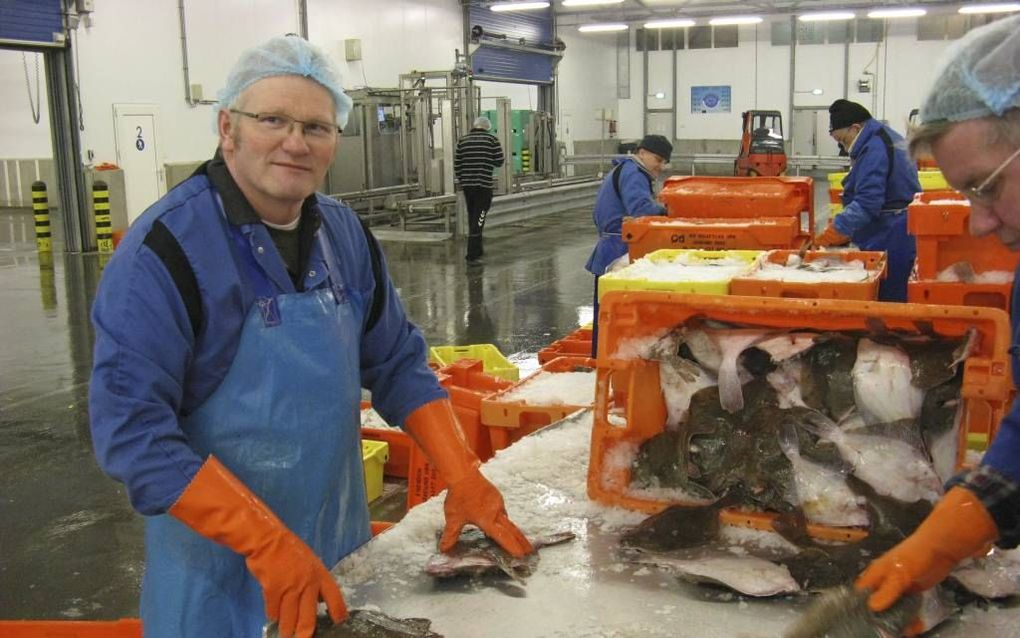 Vissorteerder Tromp Visser aan het werk in de Urker visafslag. „Je doet het werk fluitend.” Foto RD