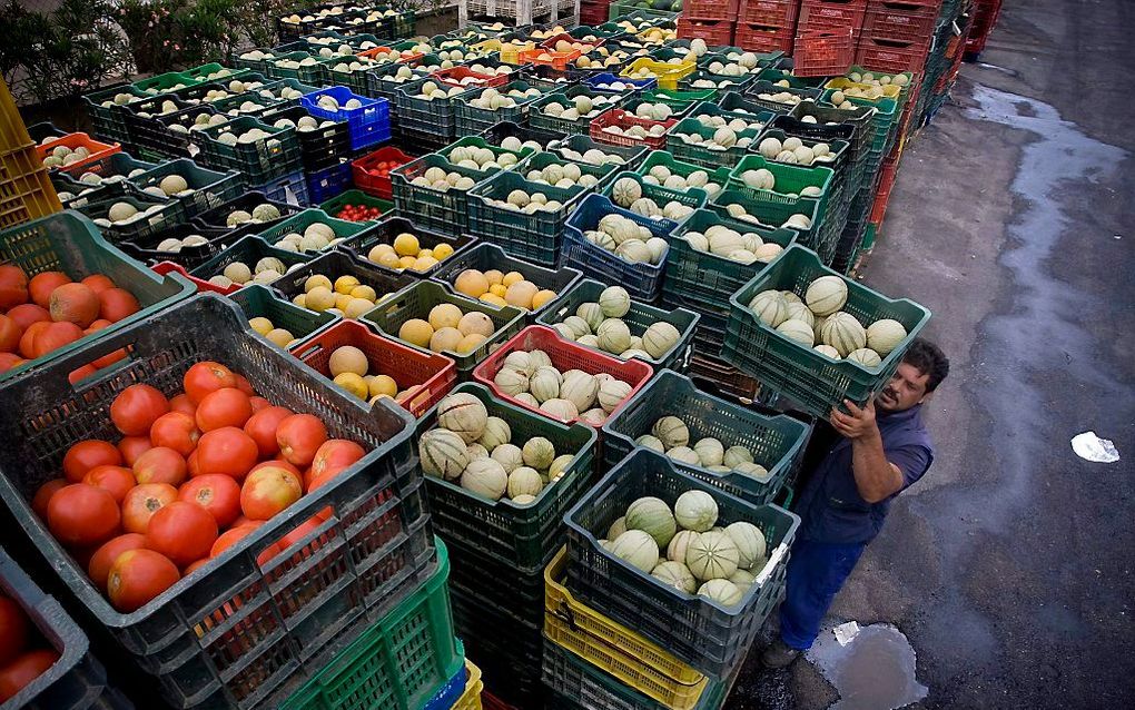 Nu steeds meer Spanjaarden in armoede leven, winnen initiatieven om geen eten meer te verspillen terrein. Voedselbanken kunnen de vraag niet aan. Foto EPA