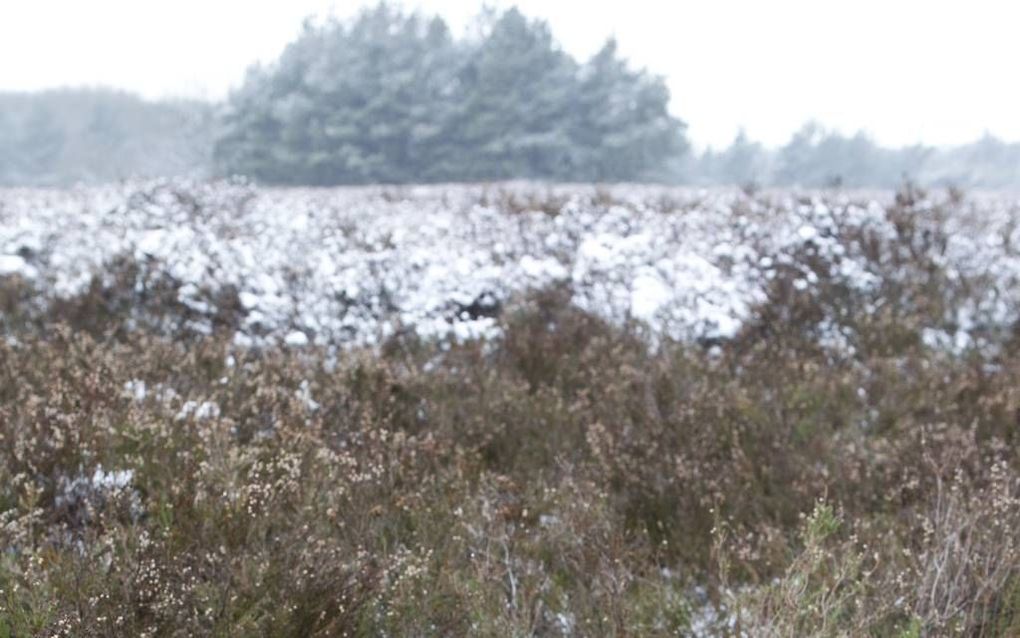 Knekelplaats op de Veluwe. Foto RD, Anton Dommerholt