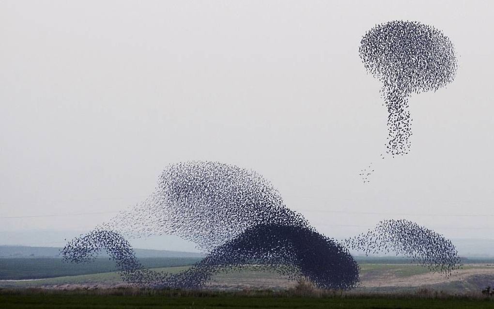 Foto AFP