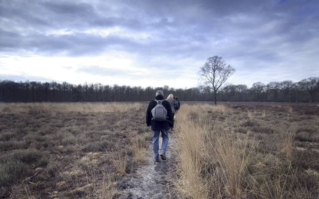 OTTERLO – Burgemeester en Wethouders van Ede hebben onlangs het nieuwe bestemmingsplan voor het centrum van Het Nationale Park De Hoge Veluwe vastgesteld. Foto ANP