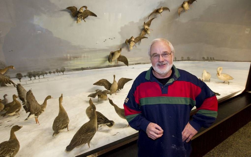 Anton van Beek voor zijn favoriete diorama. Foto RD, Anton Dommerholt