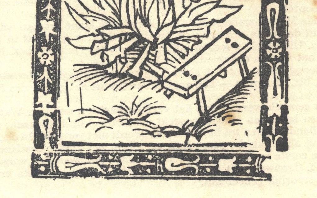 Op 20 november 1527 doodde een beul Wendemoet Claesdochter, waarna haar dood werd bezegeld met het vuur van de brandstapel. Foto Beeldbank Oude Monnickendam