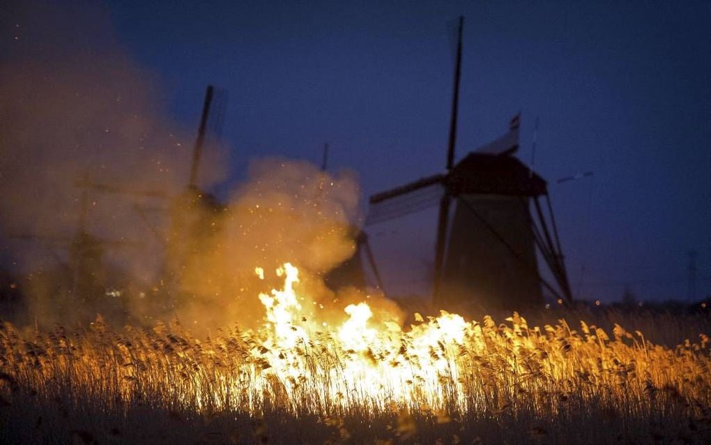 Het riet in een natuurgebied tussen Alblasserdam en Kinderdijk stond dinsdagavond in lichterlaaie. De molens van Kinderdijk kwamen bij de brand niet in gevaar. Foto ANP