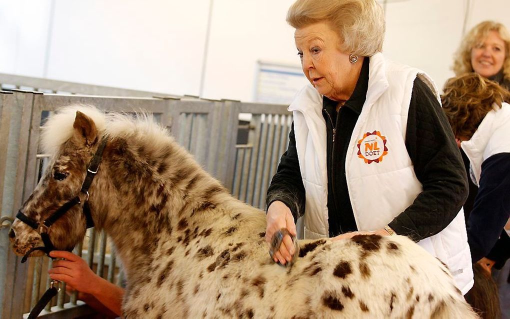 Koningin Beatrix verzorgt een pony in een duurzaamheidscentrum in het kader van de vrijwilligersactie NL Doet. Foto ANP