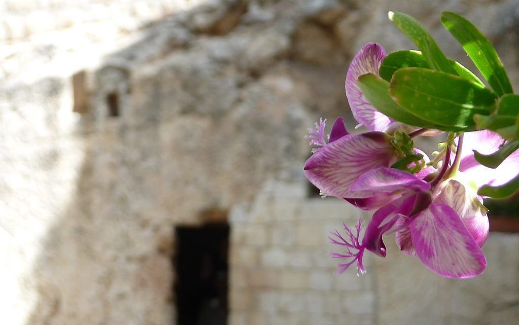 De graftuin in Jeruzalem. Foto RD