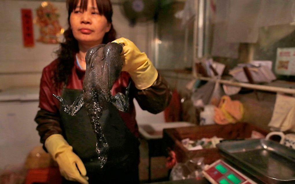 Een chinese verkoper met zwarte kip, vaak gebruikt in soepen. Foto EPA