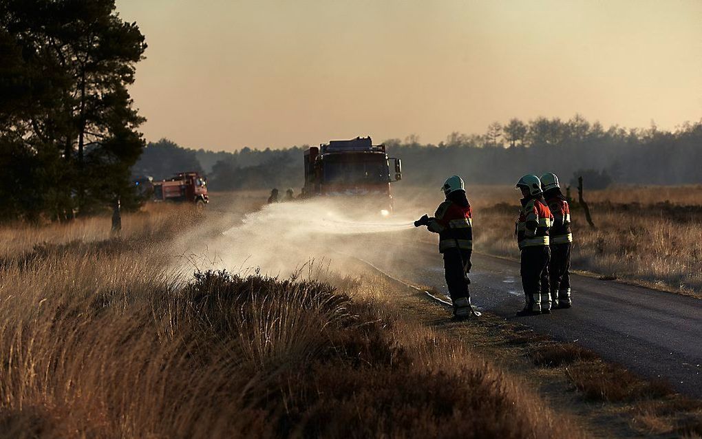 Nederlandse en Belgische brandweerlieden bestrijden een grote brand op de heide in het Leenderbos, vorige week. Foto ANP