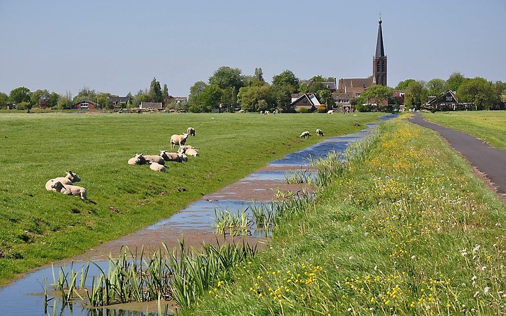 Beeld Vincent van Zeijst, Wikimedia