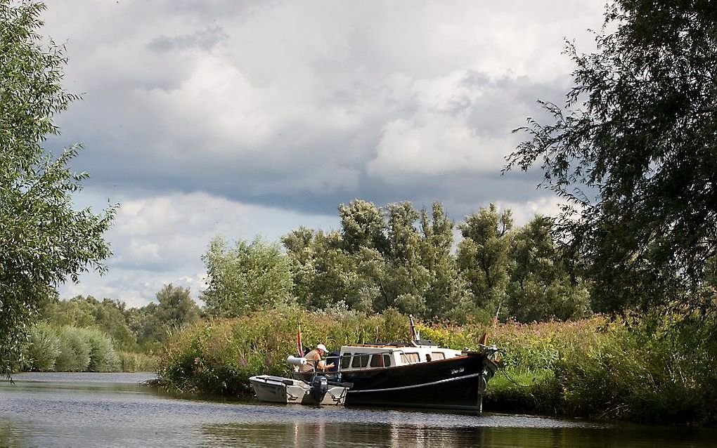 Biesbosch. Foto RD, Henk Visscher