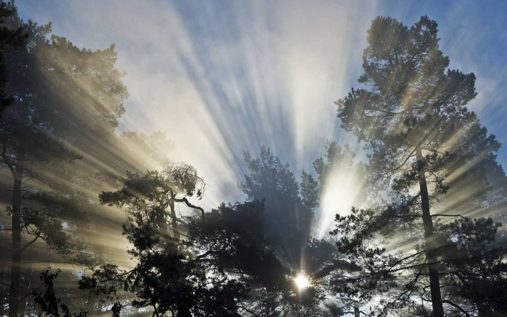 Bedoelde Guido de Brès dat ”het boek der natuur” een bron van godskennis is? Foto EPA