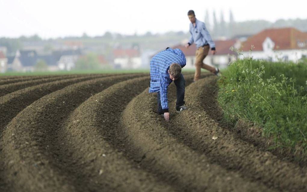 beeld VidiPhoto