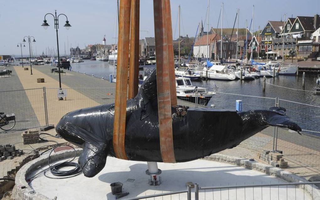 URK. De orka werd onlangs op zijn sokkel gehesen. Het beeld is ontstaan na een particulier initiatief van Urkers. Vandaag, op de zogeheten Urker Dag, waarbij veel Urkers in kledingdracht lopen, wordt de derde orka van Urk onthuld. beeld Orca op Urk