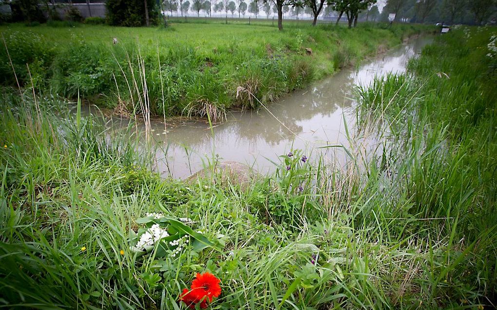 Bloemen bij de plek waar de lichamen van de jongens Ruben en Julian zijn gevonden.  Beeld ANP