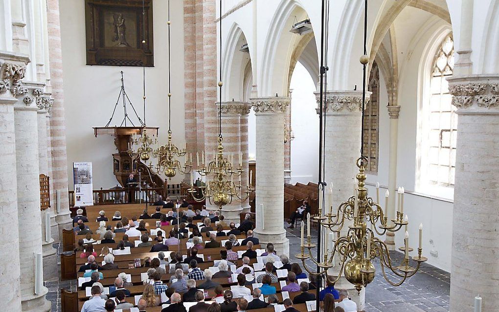 Ondanks het fraaie weer hebben heel wat mensen de moeite genomen om naar Tholen te komen. Beeld RD, Anton Dommerholt