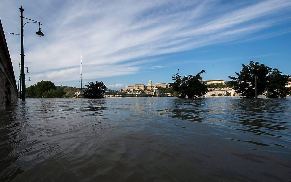 Extreem hoog water in de Donau bij Boedepast. beeld EPA