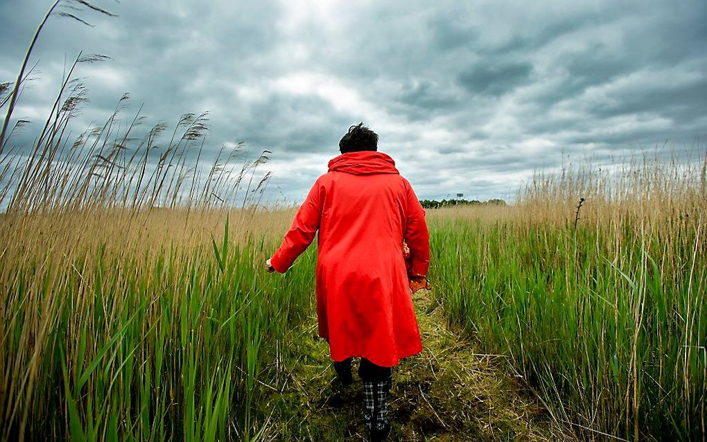 Staatssecretaris Dijkstra in natuurgebied Ilperveld. Beeld ANP