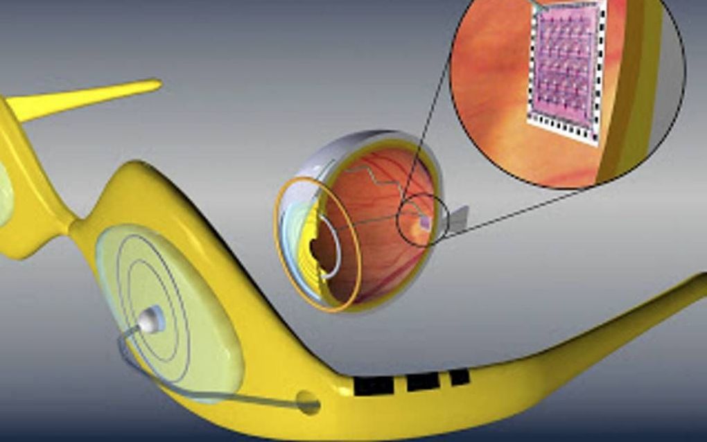 beeld alumnatbiogeo.blogspot.com