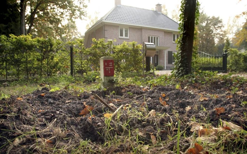 HEERDE. In een villawijk in het Gelderse dorp Heerde is de grond omgewoeld door wilde zwijnen. Buurgemeente Epe wil een raster plaatsen om de beesten uit de bebouwde kom te weren. beeld ANP