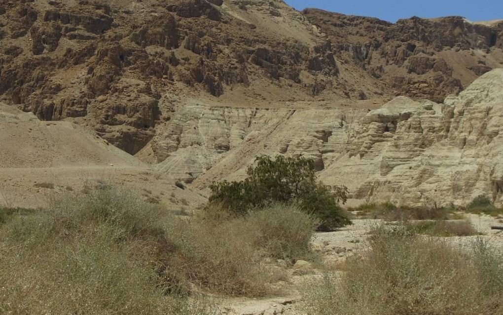 De rotsen in de woestijn van Judea zijn bezaaid met grotten. In elf grotten rond de nederzetting van Qumran zijn in totaal een dozijn complete boekrollen en enkele tienduizenden fragmenten van in bijna duizend verschillende manuscripten gevonden.  beeld W