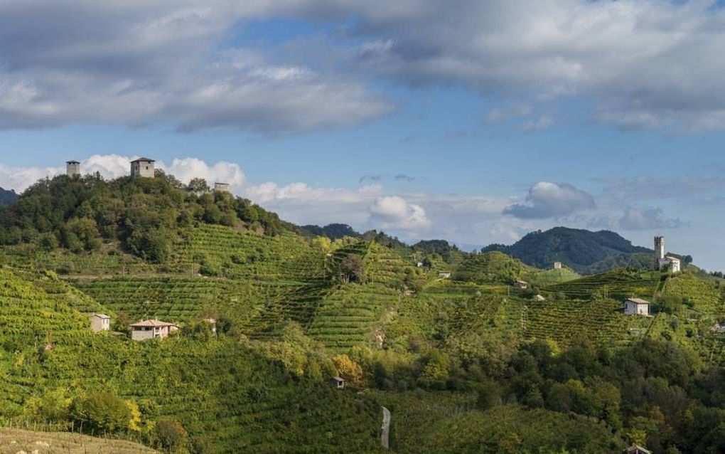 Heuvels in Noordoost-Italië, de kern van het wijngebied waar de prosecco wordt gemaakt. Beeld Ewout Kieckens