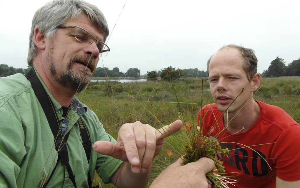 BOXTEL. Peter Voorn (l.) en Philip Schellens in de Oisterwijkse Vennen met een exemplaar van de ronde zonnedauw, die weer teruggezet zal worden. Op de achtergrond het Groot Huisven. beeld Jan van Reenen